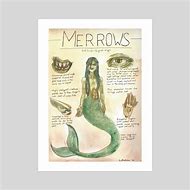 Image result for Merrow Mythology
