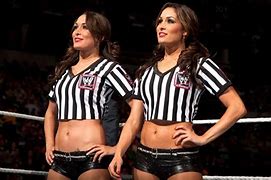 Image result for Bella Twins WWE '13
