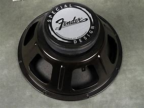 Image result for Fender 12K Speaker