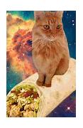 Image result for Galaxy Cat with Lasers