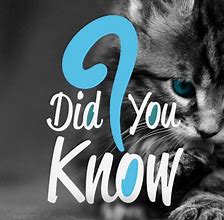 Image result for Did You Know Animals