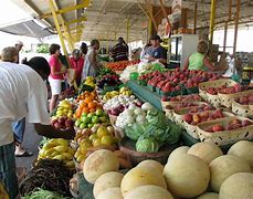 Image result for Thickness of Local Market