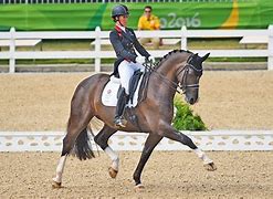 Image result for Olympic Dressage