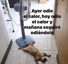 Image result for Memes Chistosos Calor