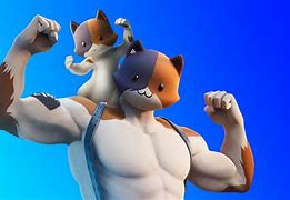 Image result for Fortnite Cartoon Meowscles