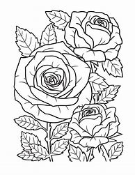 Image result for Rose Coloring Sheets Printable