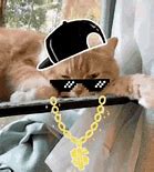 Image result for Cat Thug Life Meme GIF