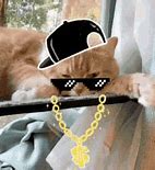 Image result for Thug Life with Cat GIF