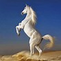 Image result for Horse Background Wallpaper