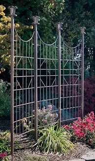 Image result for 10 Foot Tall Trellis