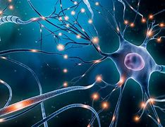 Image result for Neurons Misfiring in the Brain