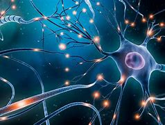 Image result for Neuro Cell