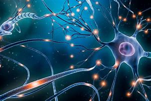 Image result for Memory Neurons