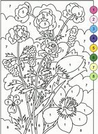 Image result for Adult Color by Number Coloring Pages