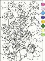 Image result for Adult Coloring Books by Number