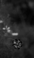 Image result for Phone Case Background Black and White