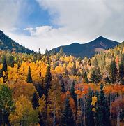 Image result for Colorado Fall Wallpaper