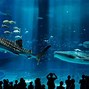 Image result for Japan Sea Aquarium