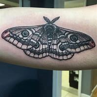 Image result for Moth Tattoo