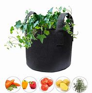 Image result for Growing Bags