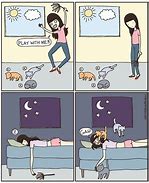 Image result for Funny Cartoons