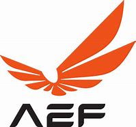 Image result for aef�stato
