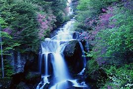 Image result for Beautiful Waterfall Screensavers