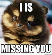 Image result for Missing My Buddy Meme