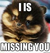 Image result for Miss You Memes for Him