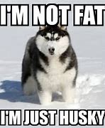 Image result for Fat Husky Meme
