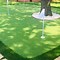 Image result for Golf Putting Green Backyard Landscape