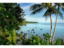 Image result for Tropical Island Raft