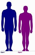 Image result for 5 Feet 6 Inches Male