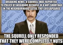 Image result for Ron Burgundy Meme Squirrel