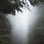 Image result for Beautiful Fog Photos for iPhone