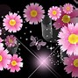 Image result for Pulled Canvas Print Pink Flowers Black Background