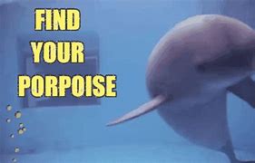 Image result for Porpoise Purpose Meme