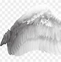 Image result for Baby Angel Wings PNG