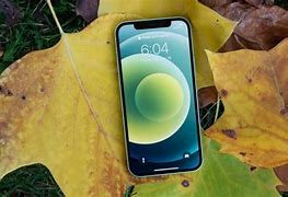 Image result for iPhone 12 Pro Pink