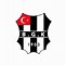 Image result for Beskitas Logo