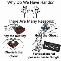Image result for Why Do We Have Hands There Are Many Reasons Meme
