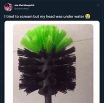 Image result for Toilet Brush Head Meme