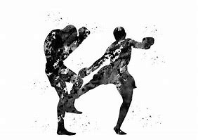 Image result for Kickboxing Art