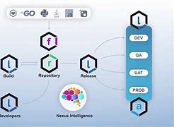 Image result for What Is the Nexus System in Logistics Platform