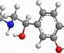 Image result for Structure of an Organic Molecule