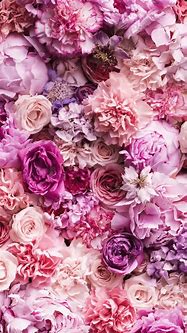 Image result for iPhone Wallpaper Flowers Rose