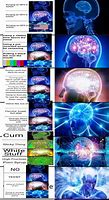 Image result for Okay Brain Meme Generator