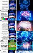Image result for Gimme Brain Meme