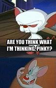 Image result for Pinky and the Brain Cartoon Meme