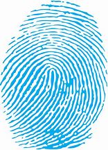 Image result for Thumb Fingerprint